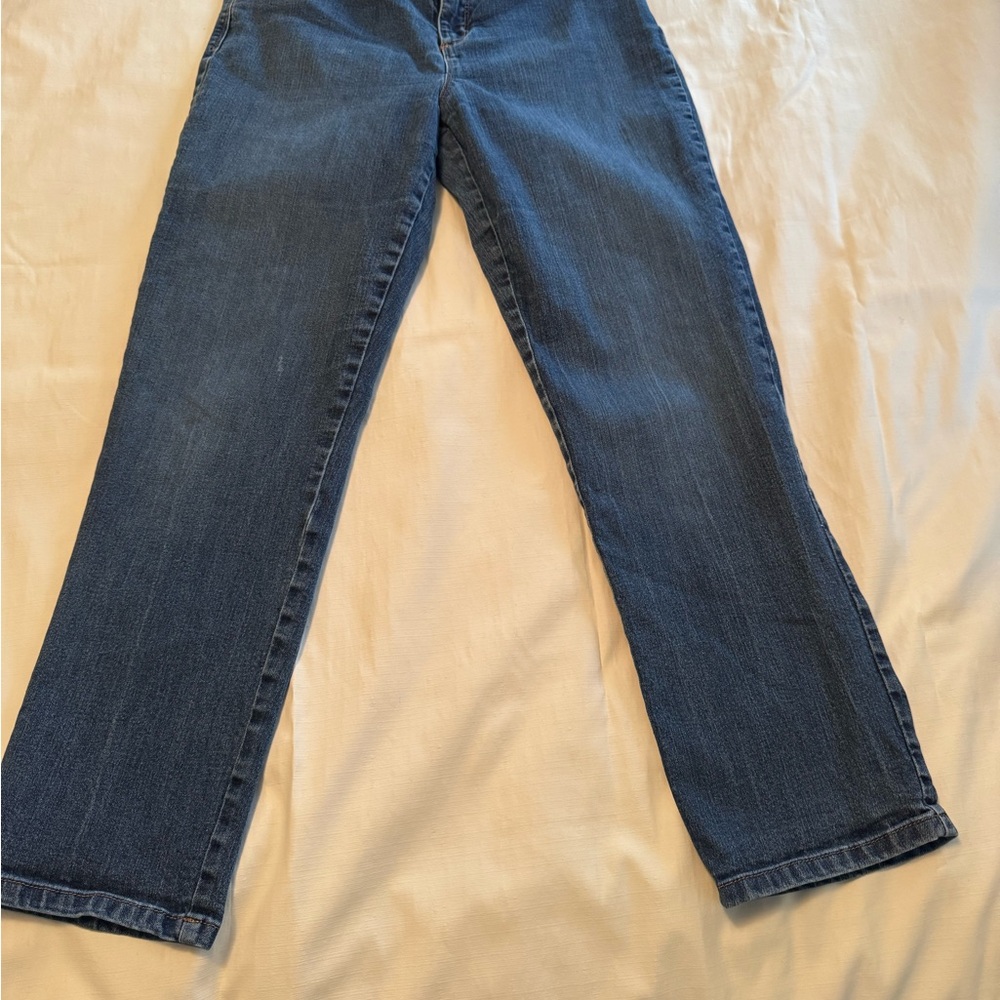 EUC! Gloria Vanderbilt Straight Leg Jeans in Blue Denim 10 Short - Picture 5 of 15